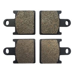 Kampas Rem Fizpower FZ-0419